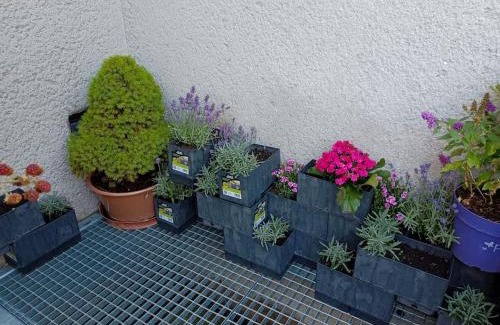 Svobodne Dvory Apartment | Atypicky podkrovní byt schody do nebe