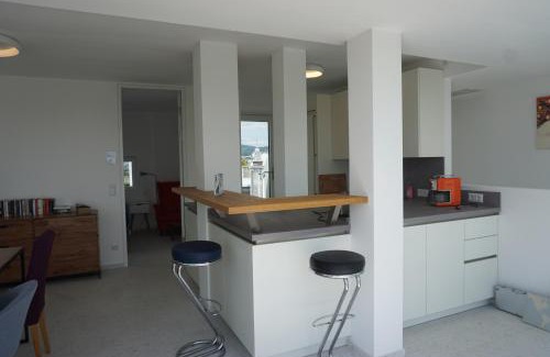 Brigittenau Apartment | Augartenblick Penthauscombo 15/16 - Blick zum Riesenrad