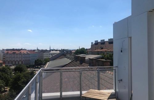 Brigittenau Apartment | Augartenblick Penthauscombo 14/15/16 - Blick zum Riesenrad