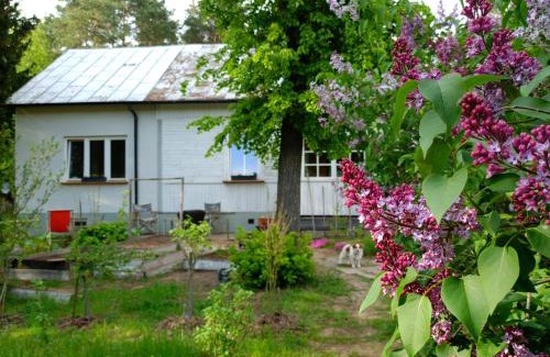 gmina Zabrodzie House | Augustówka - letnisko na Wrzosowiskach
