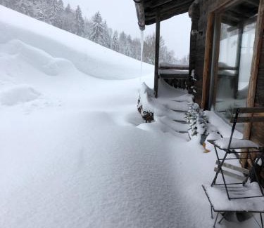 Maria Alm am Steinernen Meer Ski Chalet | Auhäuslalm