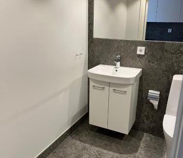 Vaxjo Apartment | Aurora Luxe Apartment Växjö Near Vida Arena