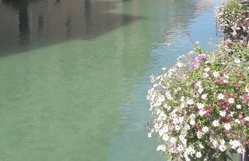 Annecy Old Town Hotel | Authentic and warm, charming T2 in hyper center R. Royal old town