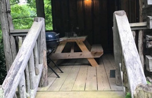 Newland Cabin | Authentic Log Cabin in the Blue Ridge Mountains Family and Pet friendly