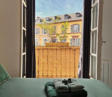 Mulhouse Apartment | Aux Arcades Mulhouse Hyper Centre
