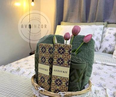 Dipolog Apartment | Aveinzor Nest Studio