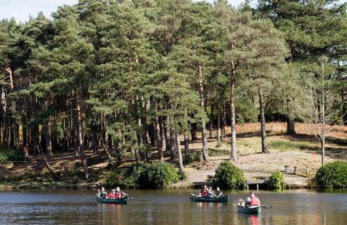 New Forest District House | Avon Tyrrell Outdoor Activity Centre