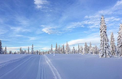 Sjusjoen Apartment | Awesome apartment in Sjusjøen with WiFi