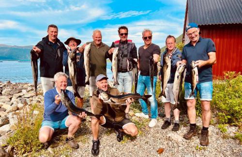 Midsund Municipality Apartment | Awesome Fishing, Boating and Nature Experience at Fiskesenter Birkeland