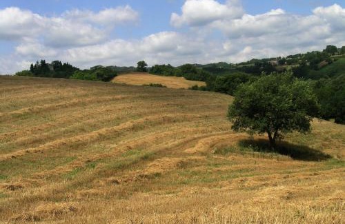 Monteluiano House | Azienda Agraria Montelujano