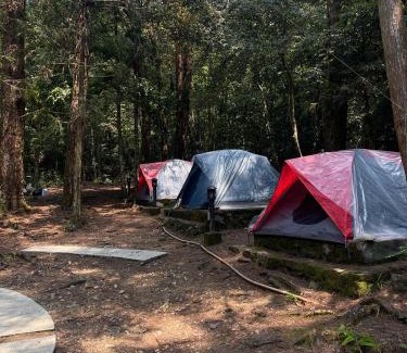 Phu Loc Other | BÃI CẮM TRẠI THÔNG NÀNG VQG BẠCH MÃ by CONNECT TRAVEL