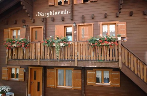 Bettmeralp Apartment | Bärgblüemli 1. OG West by Interhome