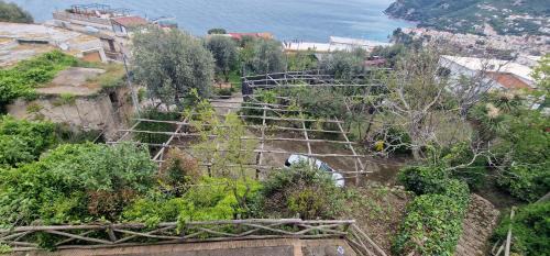Monte Chiaro Bed & Breakfast | B&b 1787 in Montechiaro