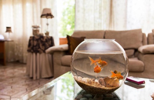 Porto Garibaldi Bed & Breakfast | B&B Aduepassidalmare