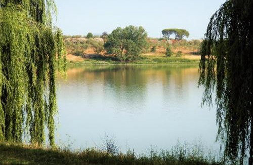 Monterosi Bed & Breakfast | B&B Angelo e Graziella