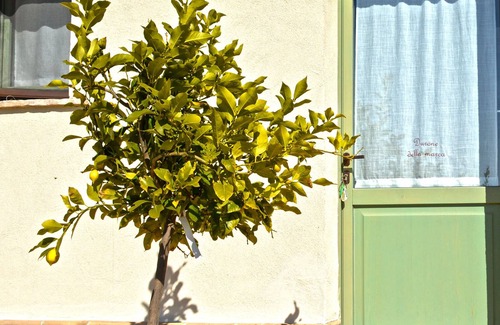 Loreto Bed & Breakfast | B&B Ceresà Room "Durone della Marca"