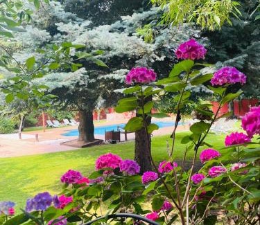 Becerril de la Sierra Bed & Breakfast | B&B Concha