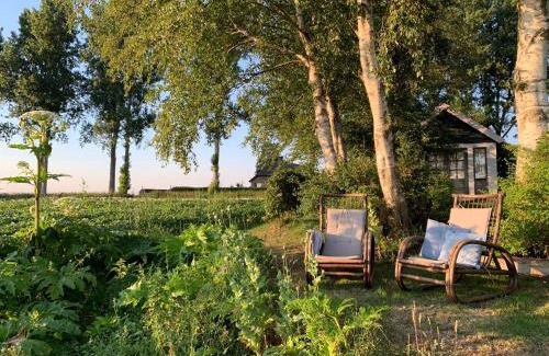 Buinerveen Bed & Breakfast | B&B Droom 44