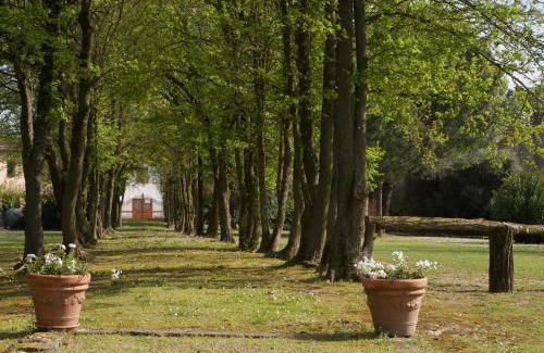 Crespino Bed & Breakfast | B&B FETONTE