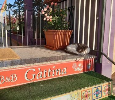Naso Bed & Breakfast | B&B Gàttina