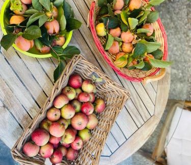 Viarolo Bed & Breakfast | B&B Il Conte Giacomo