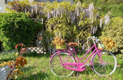 Donnas Bed & Breakfast | B&B Jasmyn
