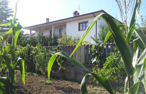 Roseto degli Abruzzi Bed & Breakfast | B&B La Casa di Angelica