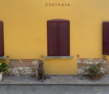 Campiglia Marittima Bed & Breakfast | B&B La Fucinaia Pet Friendly Adults only