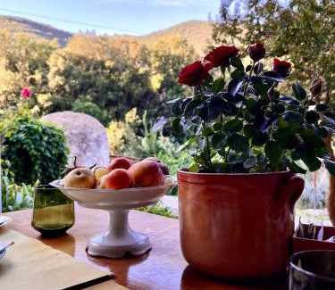 Campiglia Marittima Bed & Breakfast | B&B La Fucinaia Pet Friendly Adults only