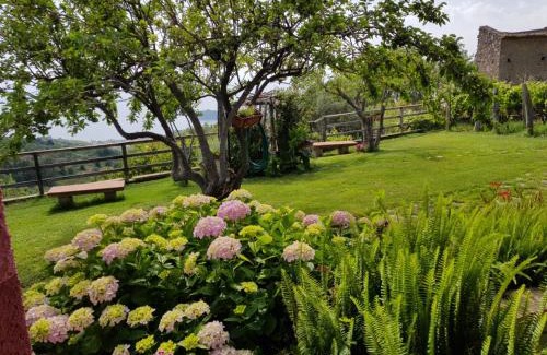 Diamante Bed & Breakfast | B&B la Sirenetta