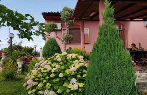 Diamante Bed & Breakfast | B&B la Sirenetta