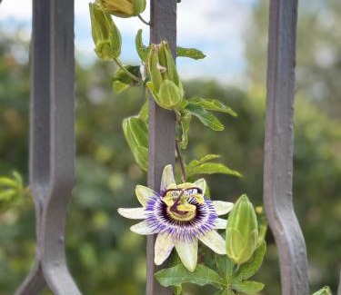 Licata Bed & Breakfast | B&B La Veranda