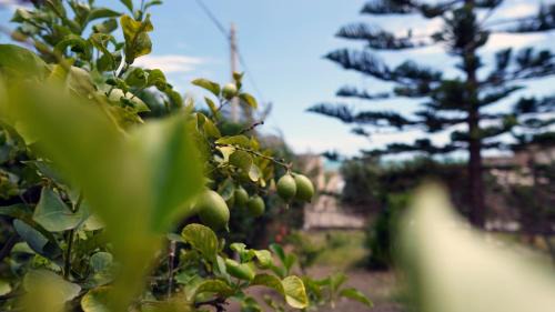 Licata Bed & Breakfast | B&B La Veranda