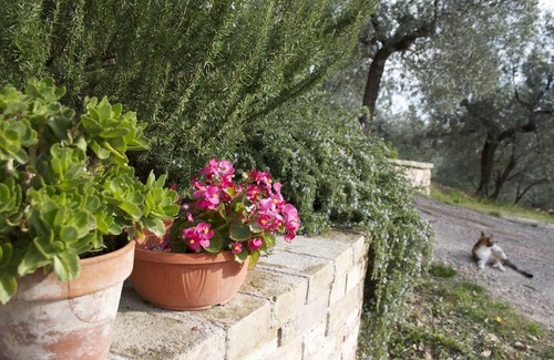 Assisi Bed & Breakfast | B&B Lavanda e Rosmarino