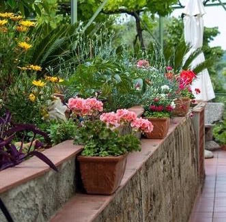 Perinaldo Bed & Breakfast | B&B Moon Light