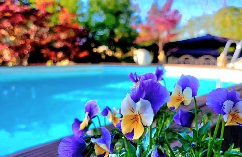 Taino House | B&B Relais Cascina al Campaccio