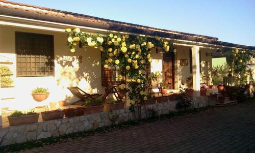 Zona LVIII Prima Porta Bed & Breakfast | B&B RoLu