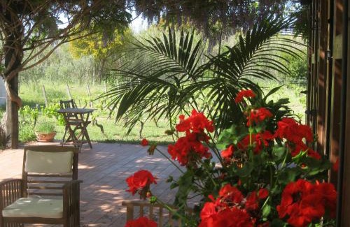 Cabras Bed & Breakfast | B&B Sa Ingia