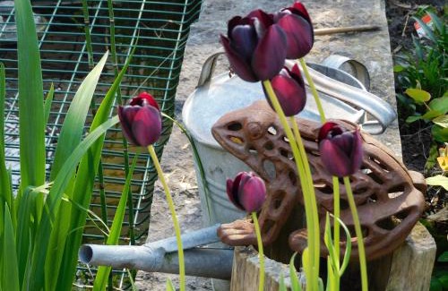 Blankenberge Bed & Breakfast | B&B Villa D'Hondt