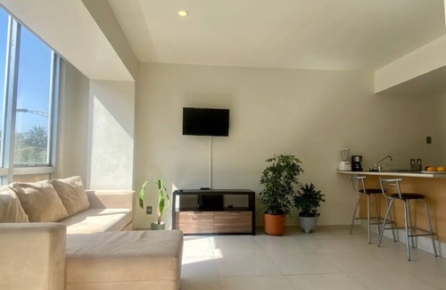 Cuauhtemoc Apartment | B104- 1 BR/1 BTH - One Bedroom Apartment, Sleeps 3
