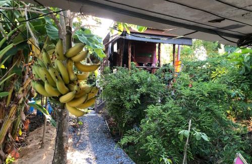 Sing Buri House | Baan Sudjai homestay