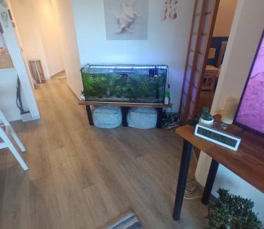 Shoal Bay House | Backpackers Waterfront Stay at Shoal Bay Stayz with Dave Stays