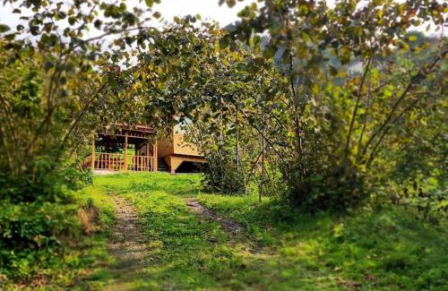 Trabzon House | Bahçede Ahşap Bağ Evi ve Çardak