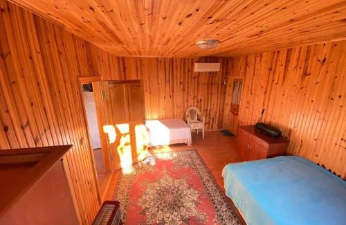 Trabzon House | Bahçede Ahşap Bağ Evi ve Çardak