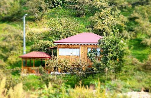 Trabzon House | Bahçede Ahşap Bağ Evi ve Çardak