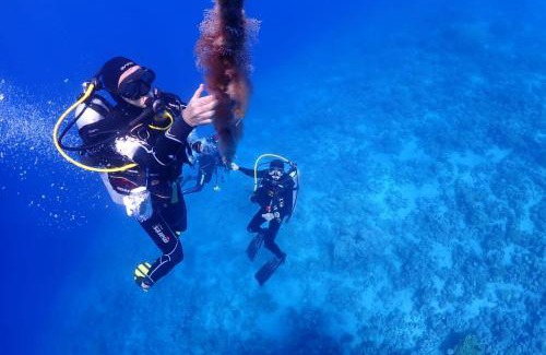 Aqaba Apartment | Bait Alaqaba dive center & resort