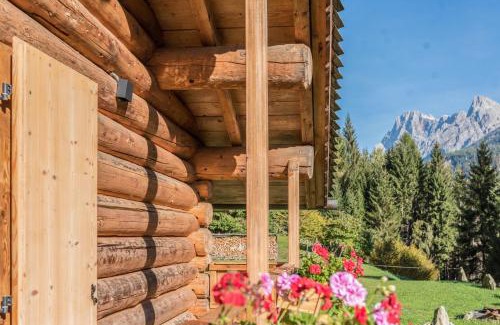 Primiero San Martino di Castrozza House | Baita Dani