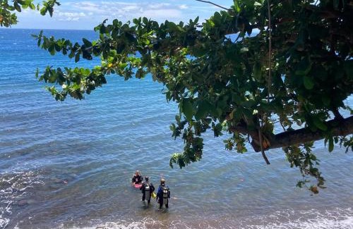 Dauin Bed & Breakfast | Baki Divers and Beach Resort