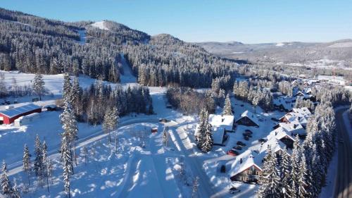 Trysil Apartment | Bakkebyvegen 13A