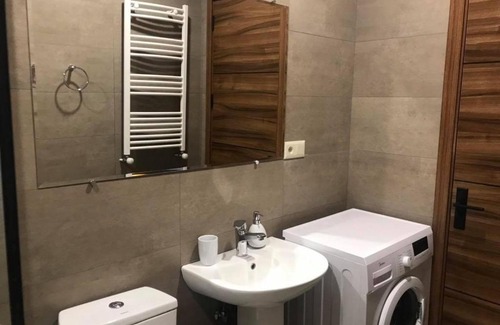 Bakurianis Andeziti Apartment | Bakuriani area park 83